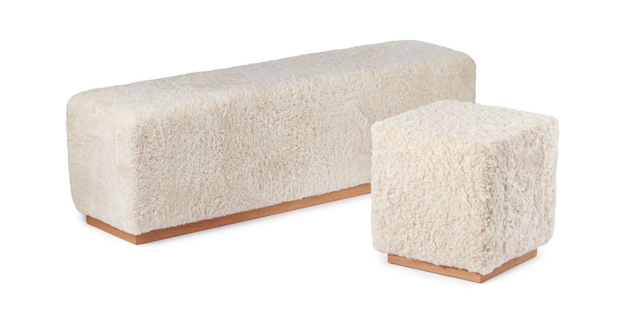 Benjamin Hocker | Kurzhaar Beige