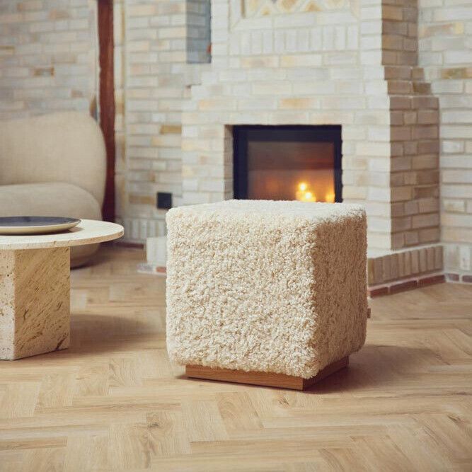 Benjamin Hocker | Kurzhaar Anthrazit