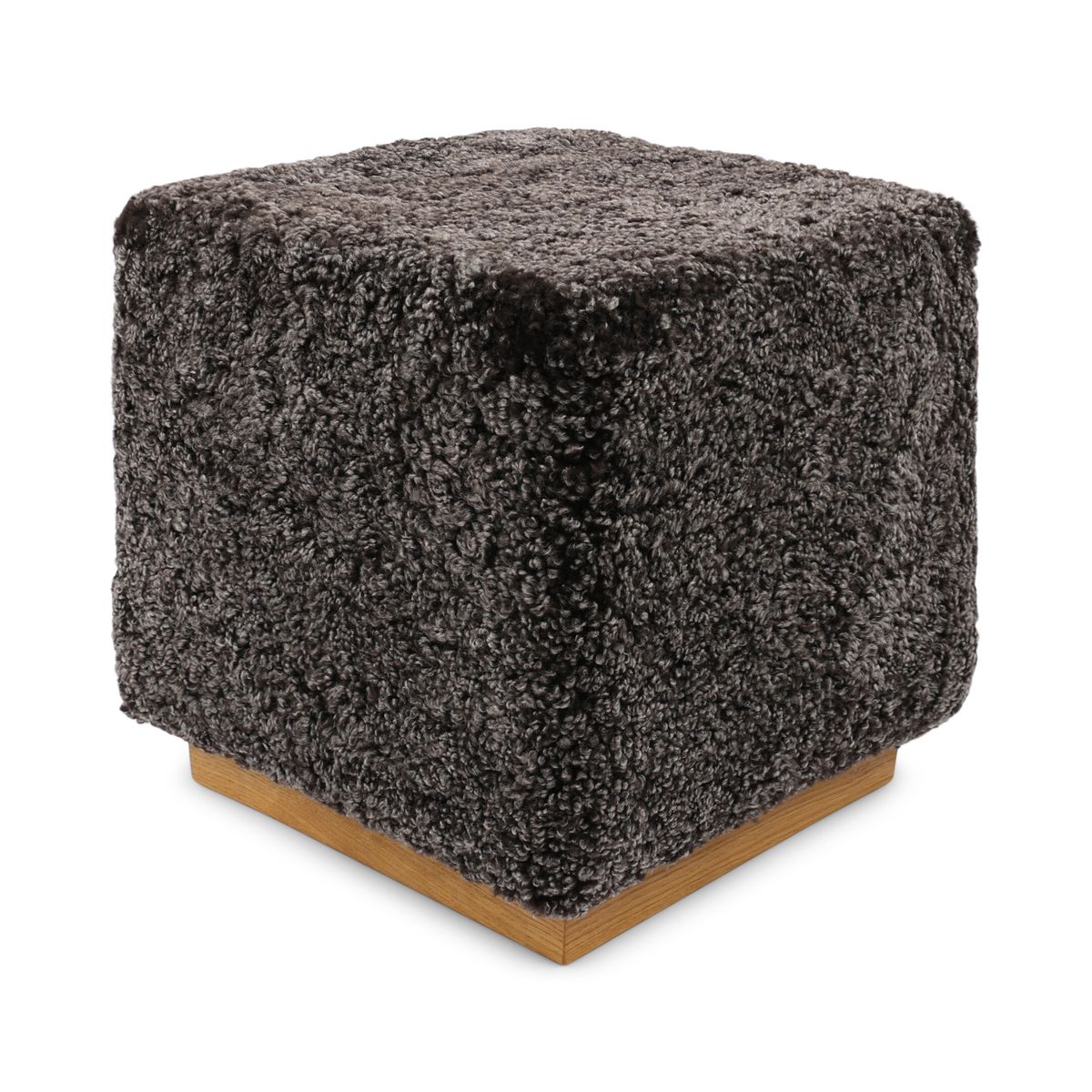 Benjamin Hocker | Kurzhaar Cappuccino