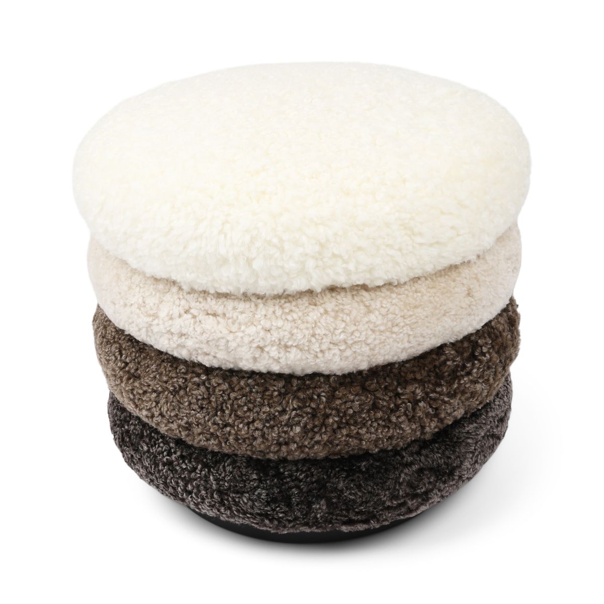 Matthew Pouf | Kurzhaar | Neuseeland Multifarbe