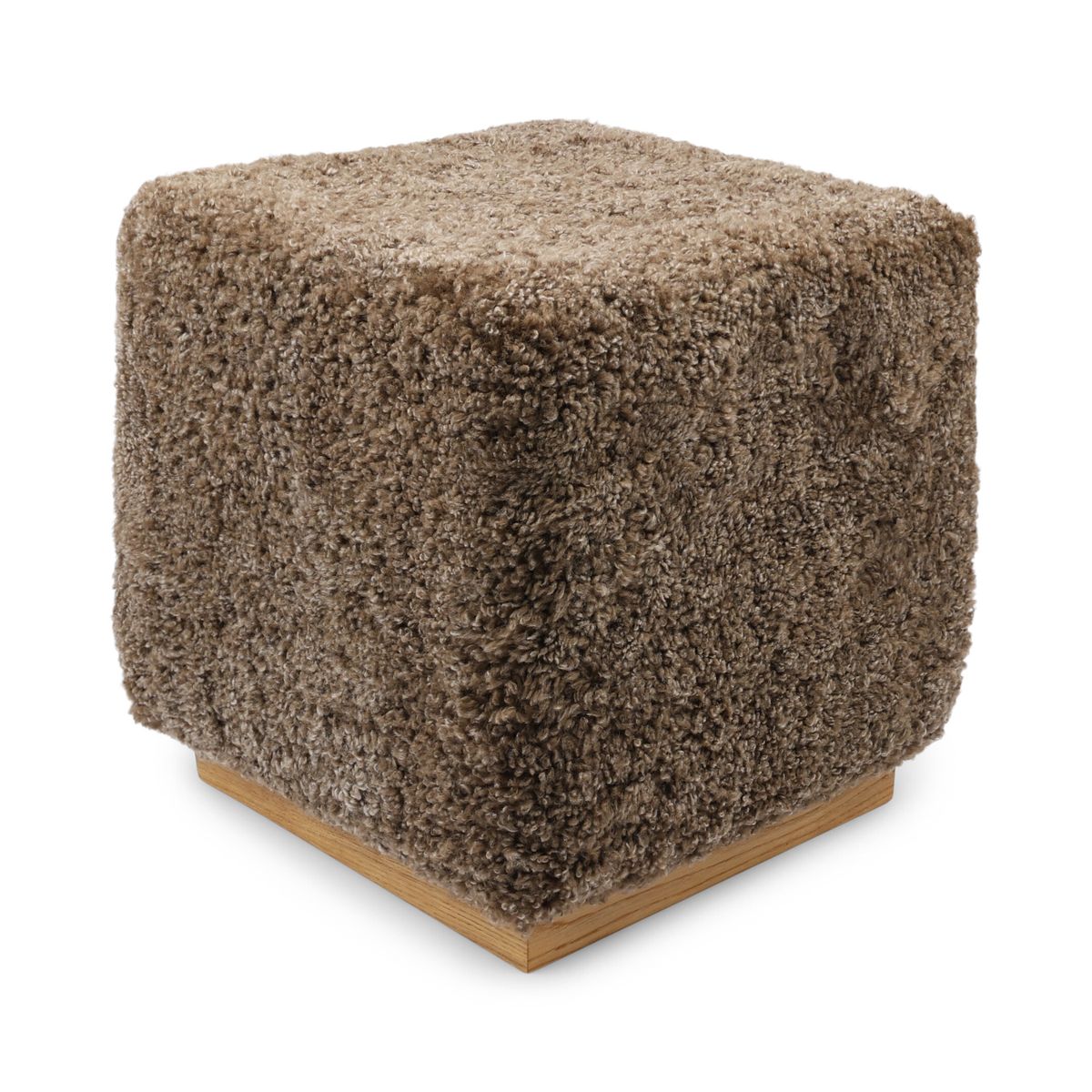 Benjamin Hocker | Kurzhaar Taupe