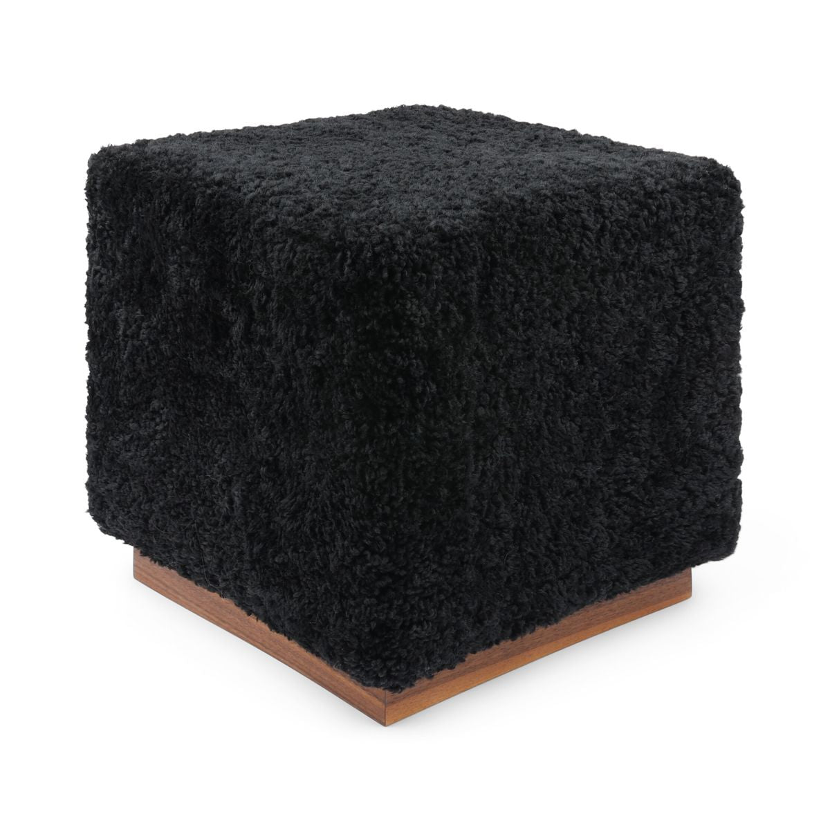 Benjamin Hocker | Kurzhaar Schwarz