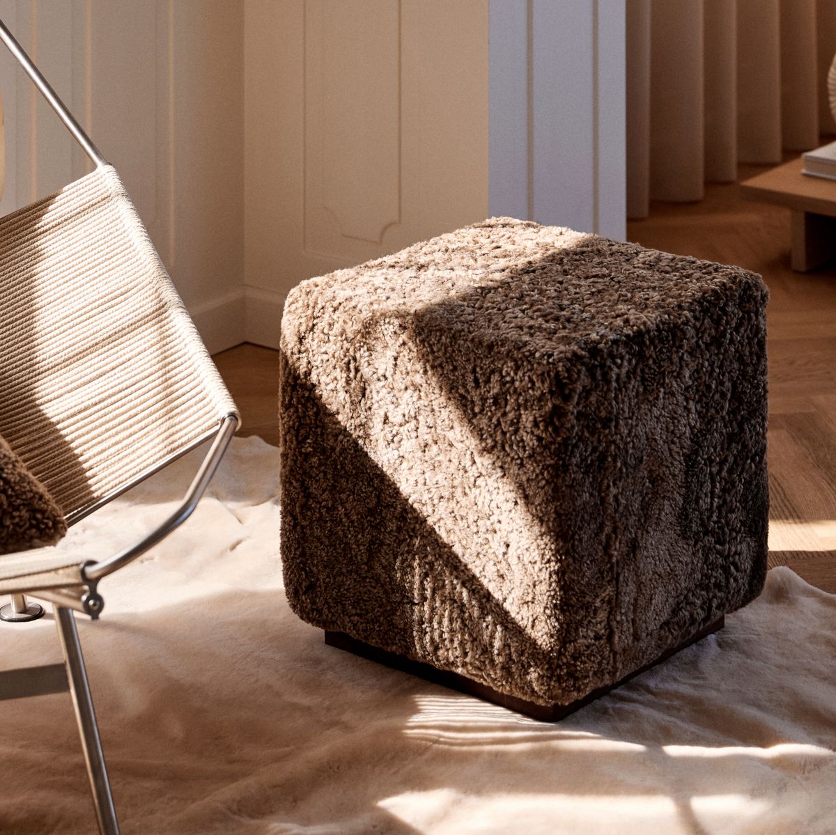 Benjamin Hocker | Kurzhaar Anthrazit