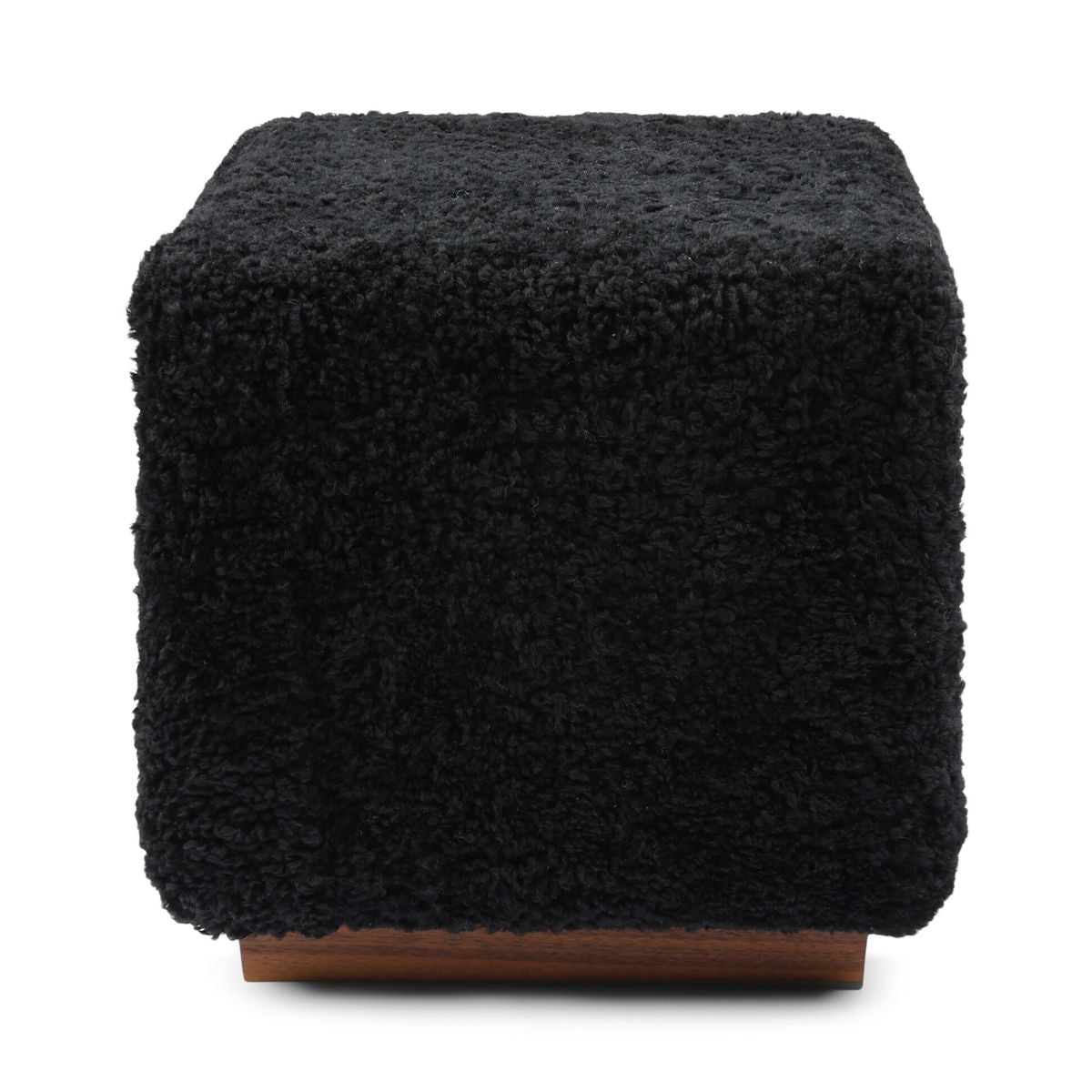 Benjamin Hocker | Kurzhaar Schwarz