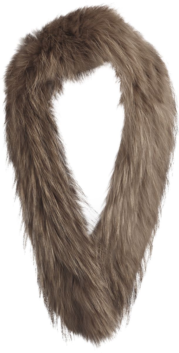 Klara Kragen | Waschbär