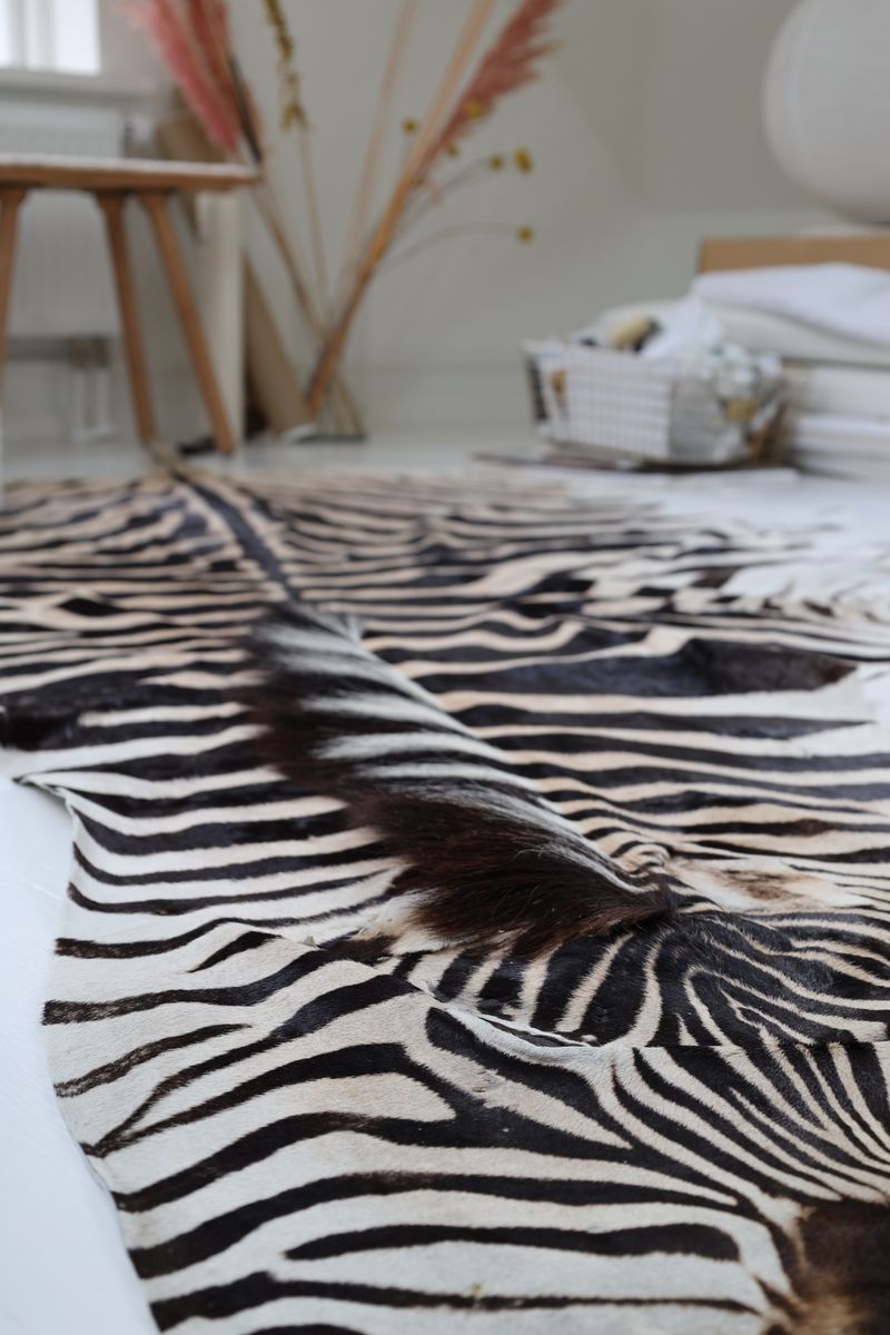 Zebrafell | Südafrika Zebra