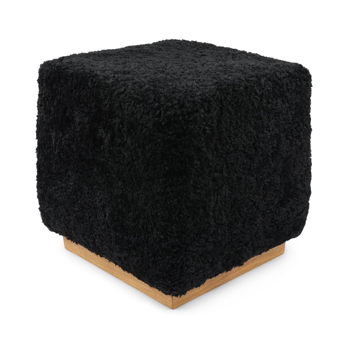 Benjamin Hocker | Kurzhaar Schwarz