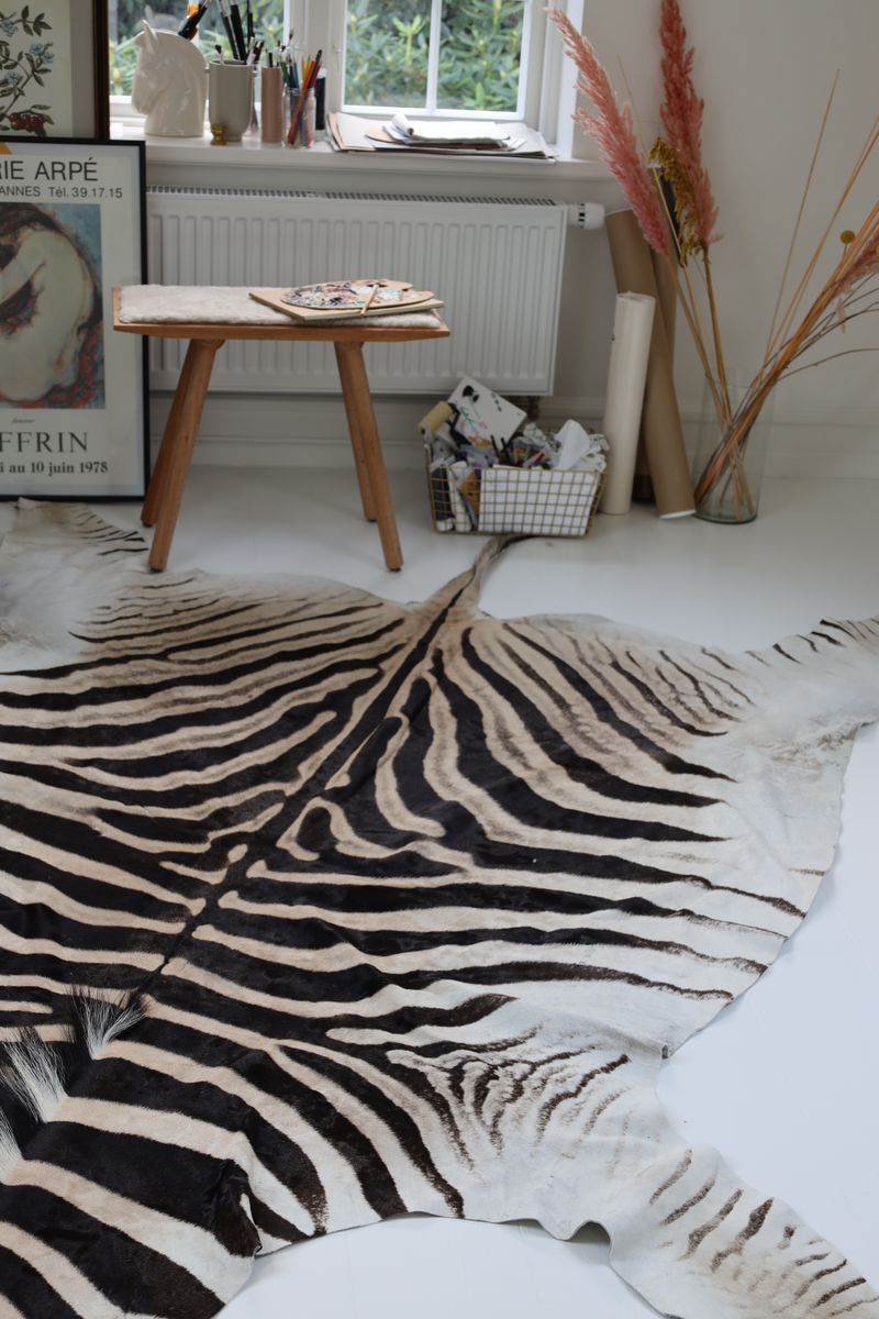 Zebrafell | Südafrika Zebra