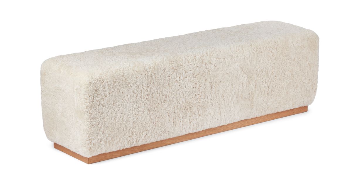 Benjamin Bank | Kurzhaar