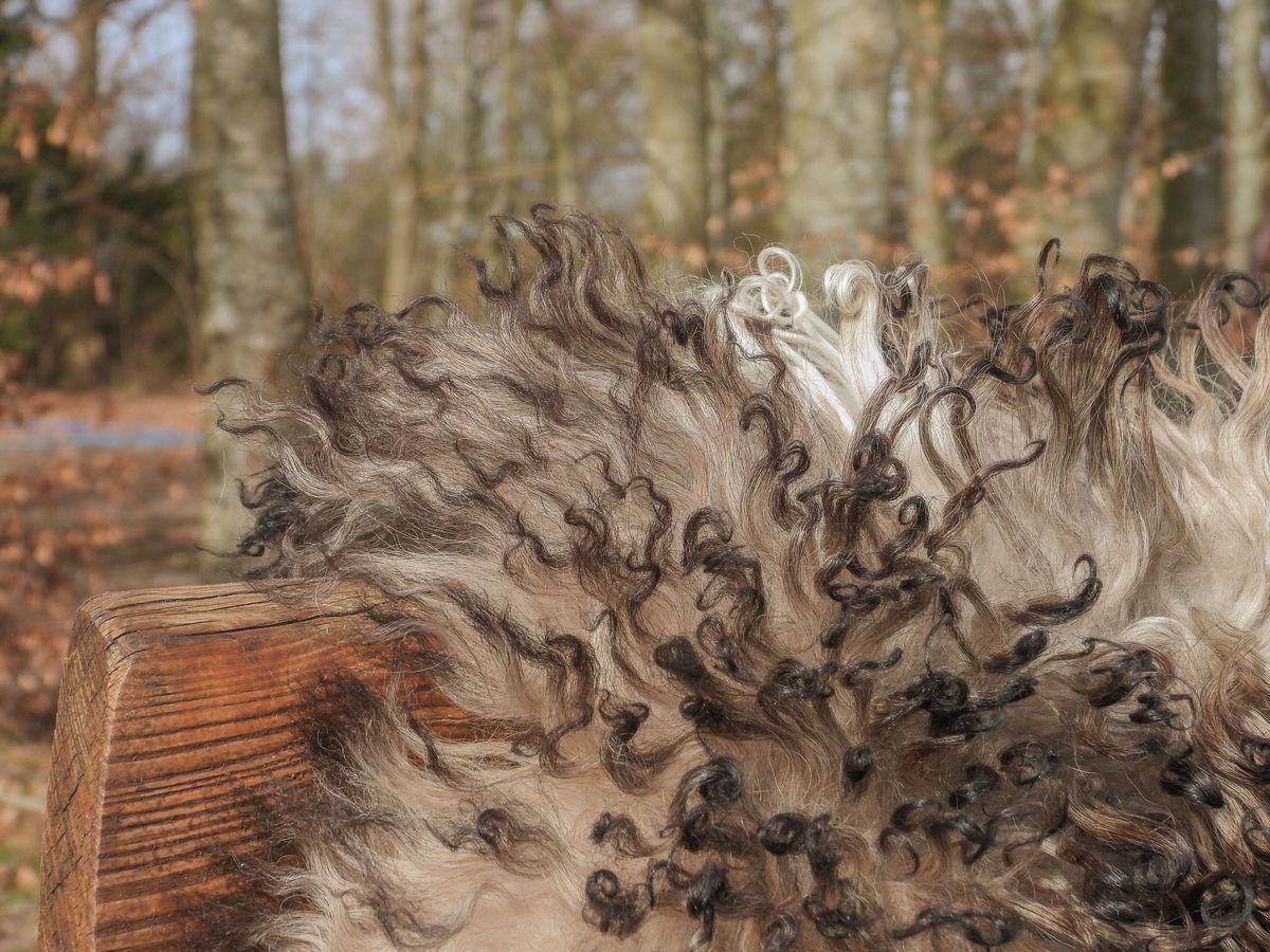 Lammfell | Österreich | Grau-beige | 90x60 cm Graubeige