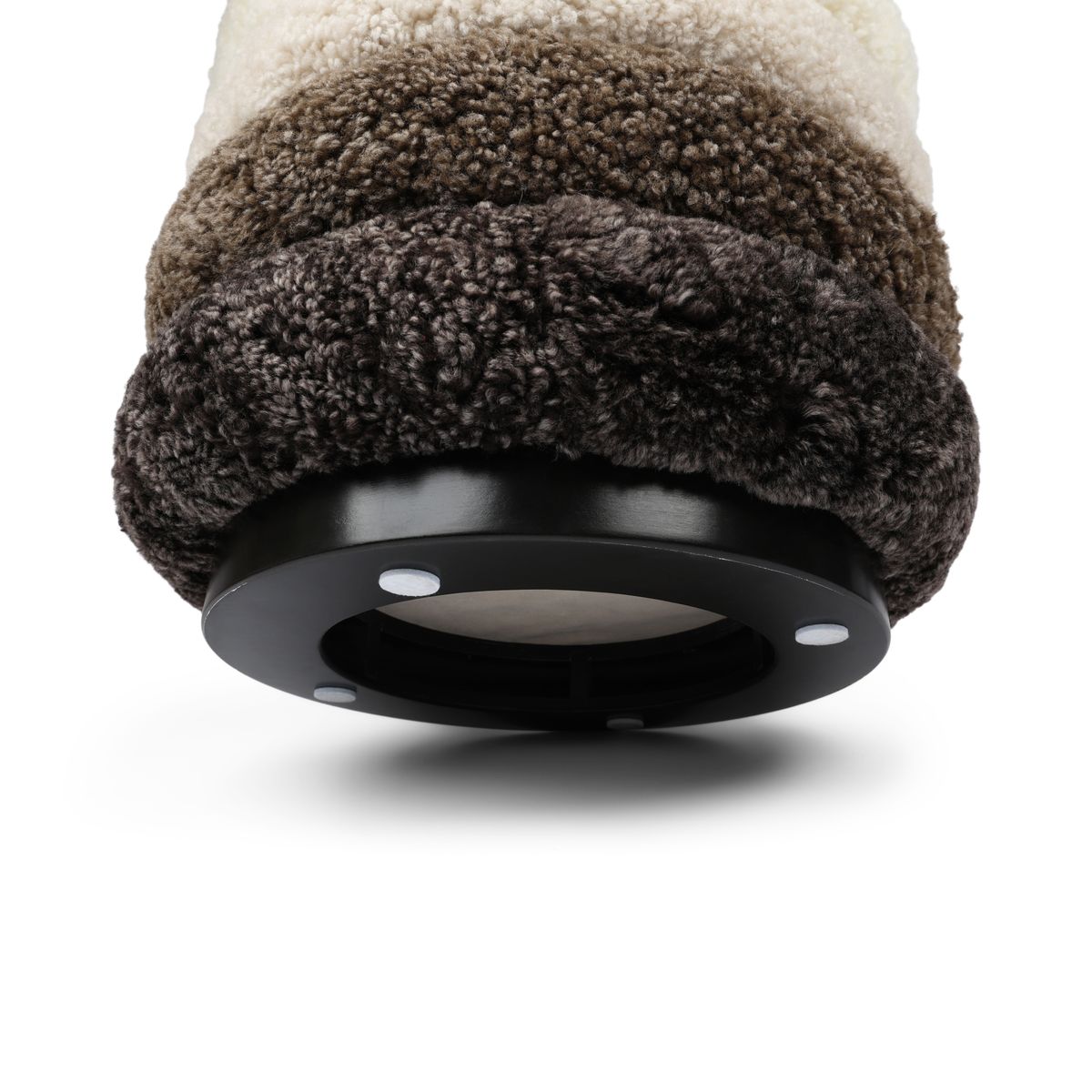 Matthew Pouf | Kurzhaar | Neuseeland Multifarbe