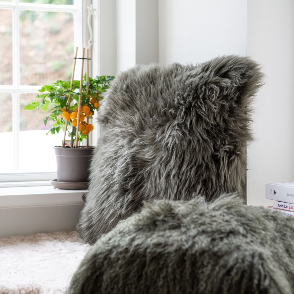 Lammfellkissen | Langhaar | Neuseeland | 50x50 cm Aubergine