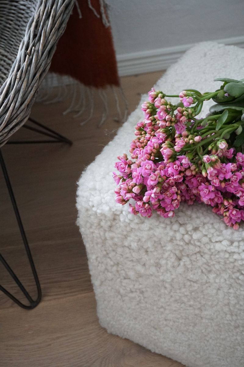 Lammfell Pouf | Kurzhaar | Neuseeland | 40x40x35 cm Elfenbein